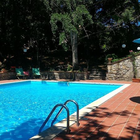 Villa La Nussa Capolona ภายนอก รูปภาพ